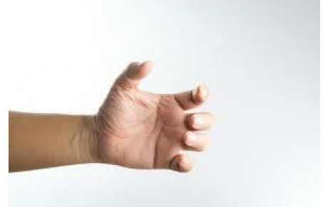 Musculation : comment muscler vos mains en quelques exercices ?